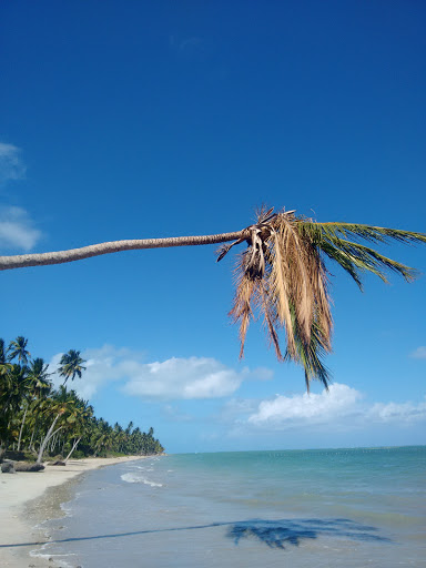 Melhores Pousadas em Barra do Camaragibe, Alagoas 2025