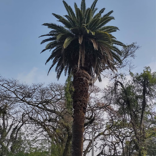 Melhores Pousadas em Auxiliadora, Rio Grande do Sul 2025